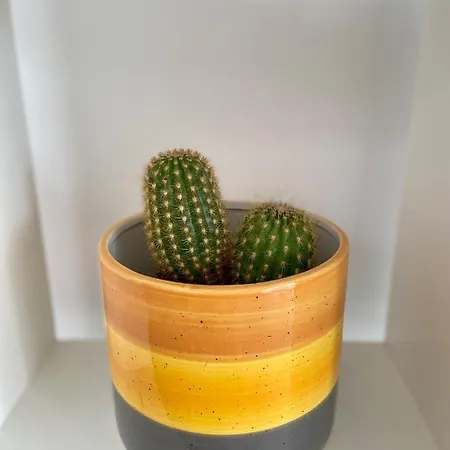 Terrazza Vista Mare E Box Auto 아파트 갈리폴리