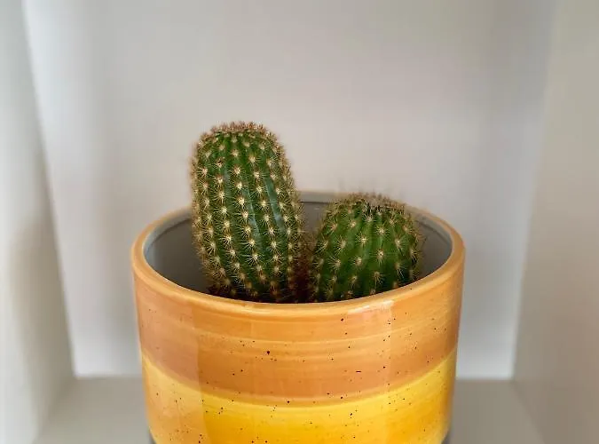 Terrazza Vista Mare E Box Auto Daire Gallipoli